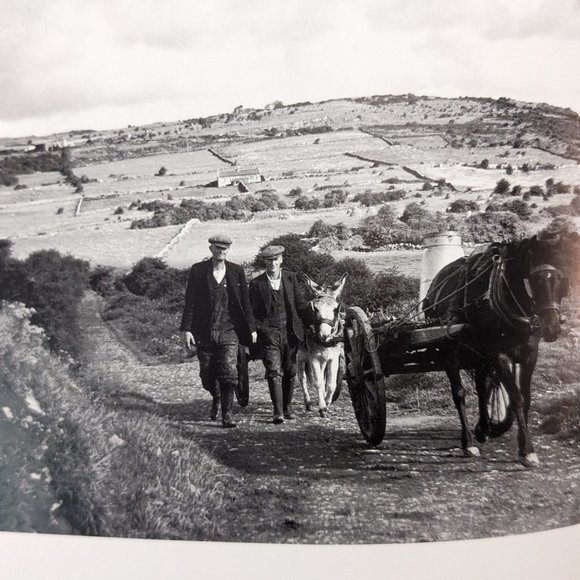 Dorothea Lange's Ireland by Gerry Mullins (1998, Trade Paperback) - Picture 10 of 15